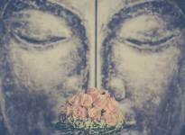 ' .  addslashes(Insoliti Dettagli) . '