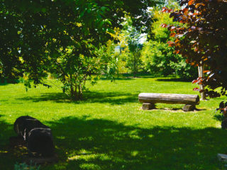 ' .  addslashes(Tenuta Sant'Anna) . '