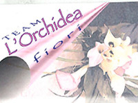 ' . addslashes(Team l'orchidea fiori) . '