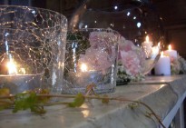 ' .  addslashes(Sala Fiori e Piante) . '