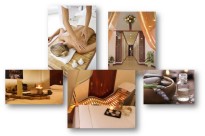 ' .  addslashes(Maison de Beauté Centro Benessere Estetica) . '