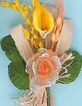 ' .  addslashes(Le bomboniere di barbara) . '