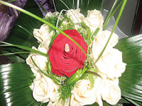 ' .  addslashes(I fiori di m'ama non m'ama) . '