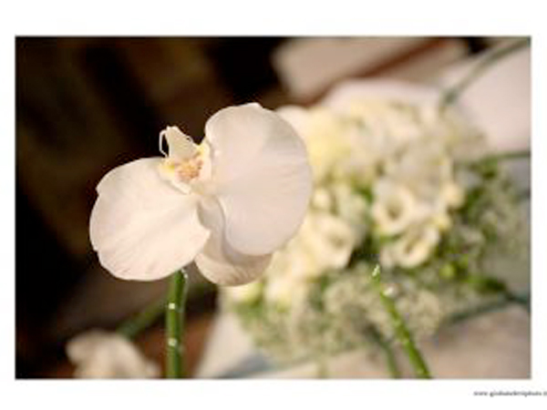 Angolo del Fiore