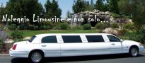 ' .  addslashes(Noleggio Limousine e non solo) . '