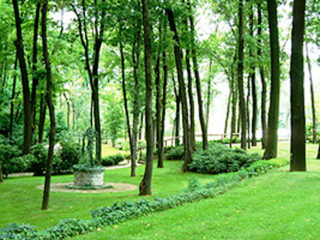 ' .  addslashes(Croce di Malta) . '