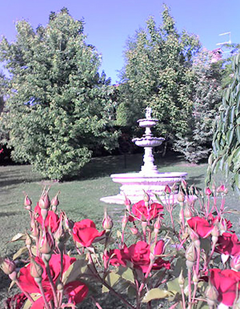 Ristorante delizie d\'oltrepò