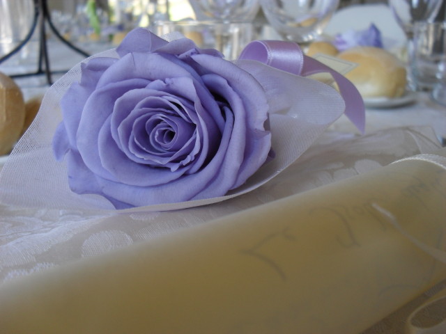 Barbara Domaneschi WP