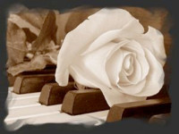' .  addslashes(Musica per sposi) . '