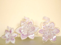 ' .  addslashes(Cerimonia è) . '