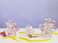 ' .  addslashes(Cerimonia è) . '