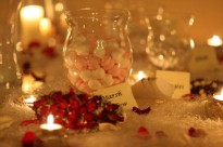 ' .  addslashes(Diamante Travel & event) . '