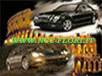 ' .  addslashes(Ncc auto per matrimoni - roma) . '