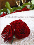 ' .  addslashes(evstudiofotografico di Eleonora Vaschetti) . '