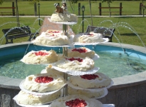 ' .  addslashes(Tenuta Canta) . '