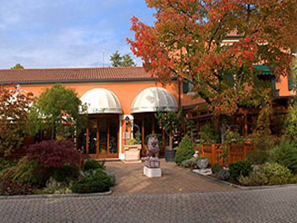 La cicala