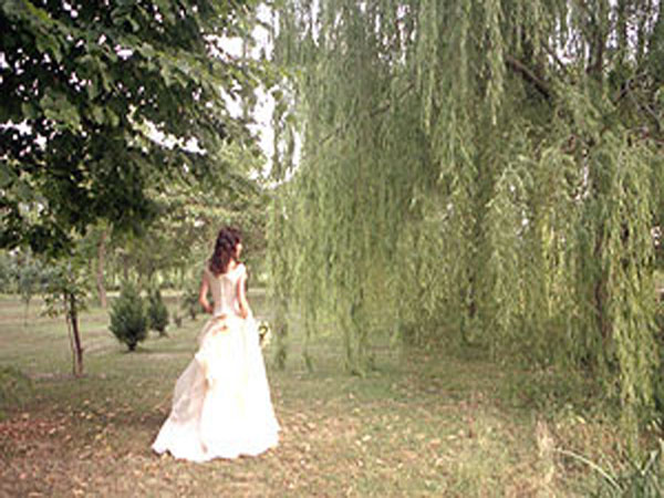 Alfafoto Le Petit Bon Bon