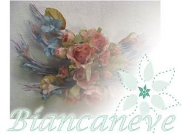 Confezioni biancaneve