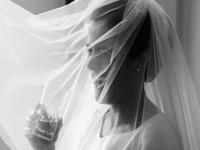 ' .  addslashes(Claire adams photography) . '
