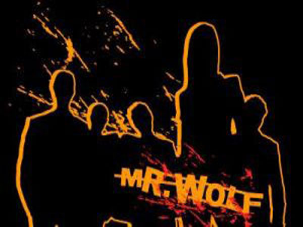 Mr wolf - risolviamo problemi