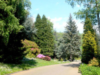 ' .  addslashes(Parco le Pigne) . '