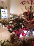 ' .  addslashes(Il Giardino di Marie) . '
