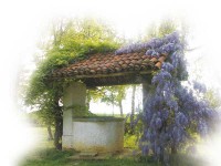 ' .  addslashes(Tenuta la Foresteria) . '