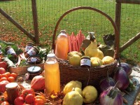 ' .  addslashes(Tenuta Sant'Anna) . '