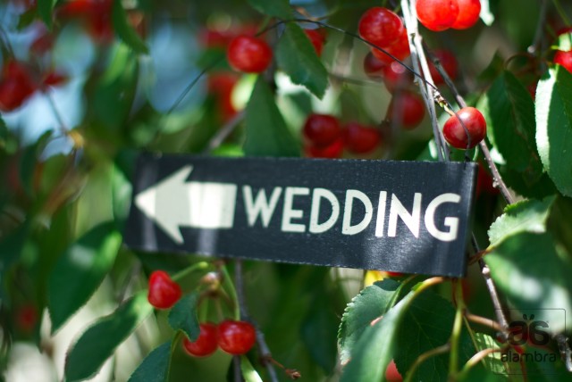 Alambra Wedding