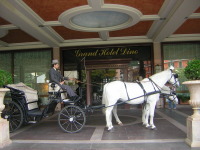 ' .  addslashes(White Horse - Cavalli e carrozze) . '