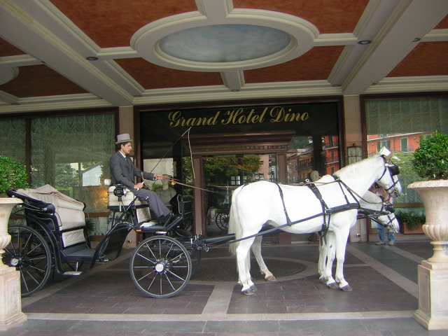 White Horse - Cavalli e carrozze