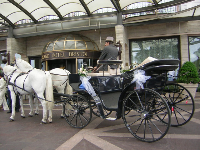 White Horse - Cavalli e carrozze