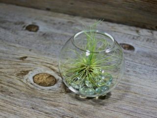 ' .  addslashes(Astro snc di Bosi Marica e Roberta) . '