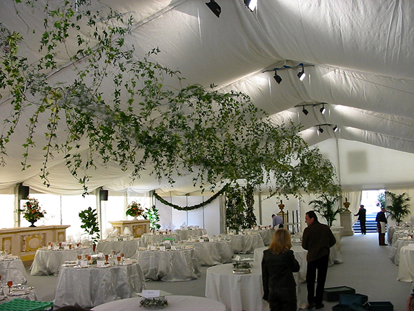 Scultura Serafino Maria Cecilia