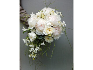 ' .  addslashes(Scultura Serafino Maria Cecilia) . '