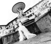 ' .  addslashes(Mai Lù Weddings & Couture) . '
