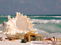 ' .  addslashes(Hermitage Travel) . '