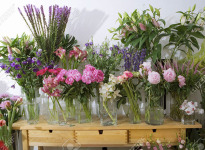 ' .  addslashes(Idea verde - commercio piante e fiori) . '