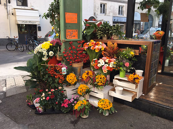 Il Chiosco