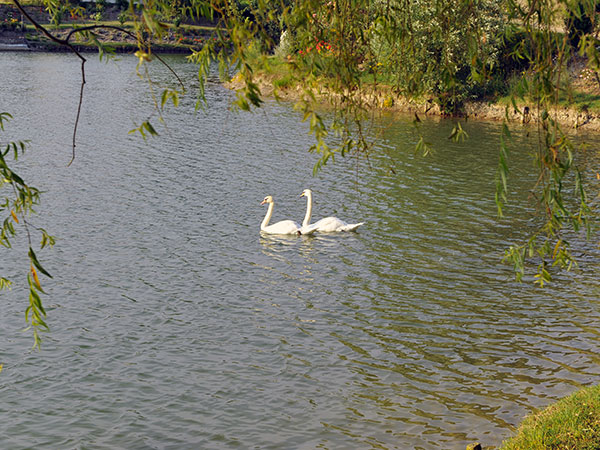 Ristorante Il Lago