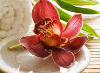 ' .  addslashes(Sole a picco) . '