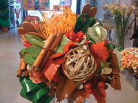 ' .  addslashes(Steli e Stili) . '