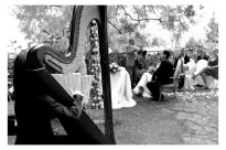 ' .  addslashes(Musica d'Arpa per Matrimonio ed Eventi) . '