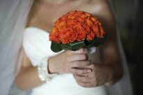 ' .  addslashes(Sulemare Wedding) . '