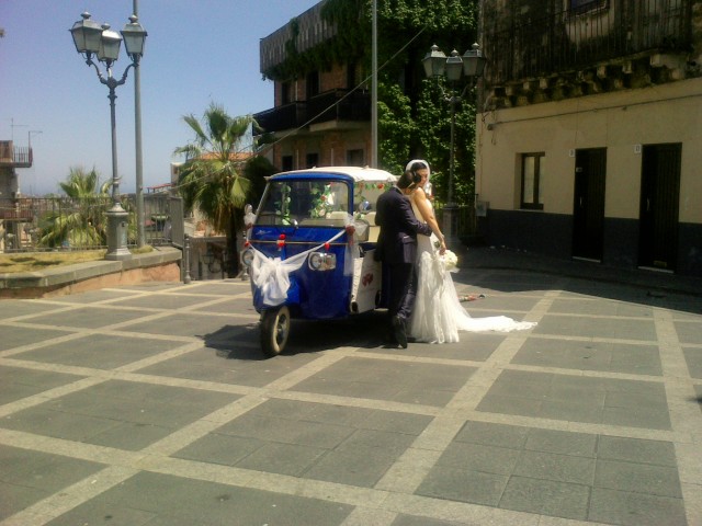 Ape  Wedding