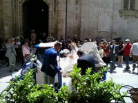 ' .  addslashes(Ape  Wedding) . '