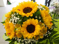 ' .  addslashes(Donna di Fiori) . '