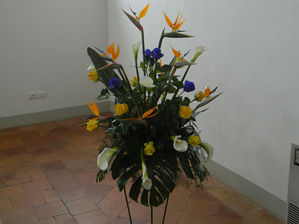 Donna di Fiori