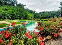 ' .  addslashes(Valle Giulia) . '