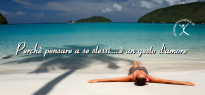 ' .  addslashes(Mister Holiday) . '